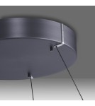 Paul Neuhaus Pure E-Loop Lampa Wisząca Szary 2551-15