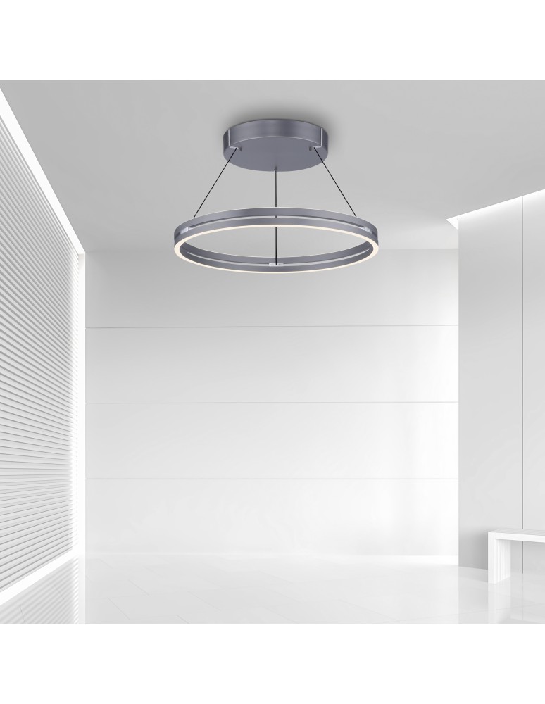 Paul Neuhaus Pure E-Loop Lampa Wisząca Szary 2551-15