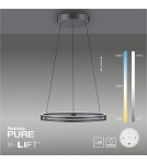 Paul Neuhaus Pure E-Loop Lampa Wisząca Szary 2551-15