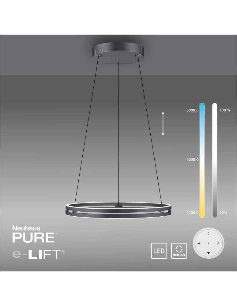 Paul Neuhaus Pure E-Loop Lampa Wisząca Szary 2551-15
