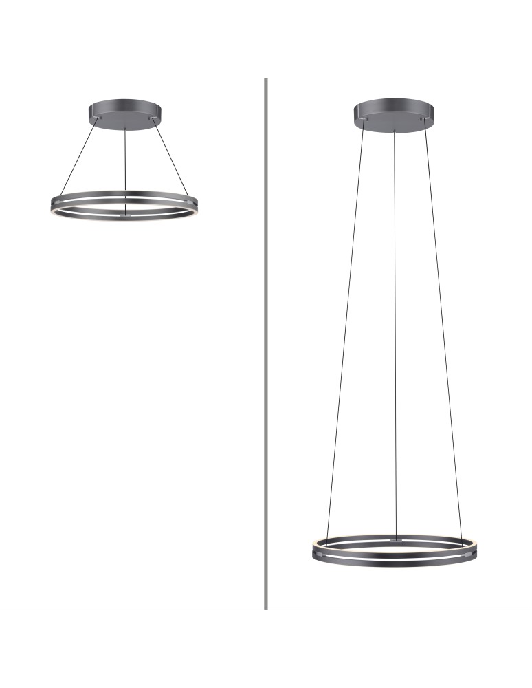 Paul Neuhaus Pure E-Loop Lampa Wisząca Szary 2551-15