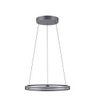 Paul Neuhaus Pure E-Loop Lampa Wisząca Szary 2551-15
