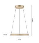 Paul Neuhaus Pure E-Loop Lampa Wisząca Matowy Mosiądz 2551-60