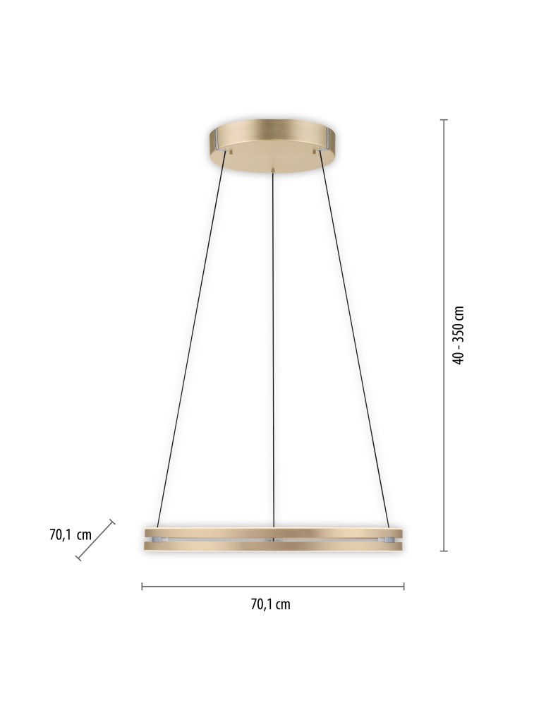 Paul Neuhaus Pure E-Loop Lampa Wisząca Matowy Mosiądz 2551-60