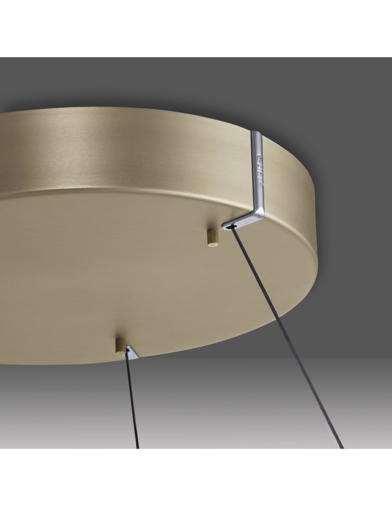 Paul Neuhaus Pure E-Loop Lampa Wisząca Matowy Mosiądz 2551-60