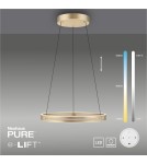 Paul Neuhaus Pure E-Loop Lampa Wisząca Matowy Mosiądz 2551-60