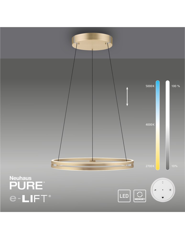 Paul Neuhaus Pure E-Loop Lampa Wisząca Matowy Mosiądz 2551-60