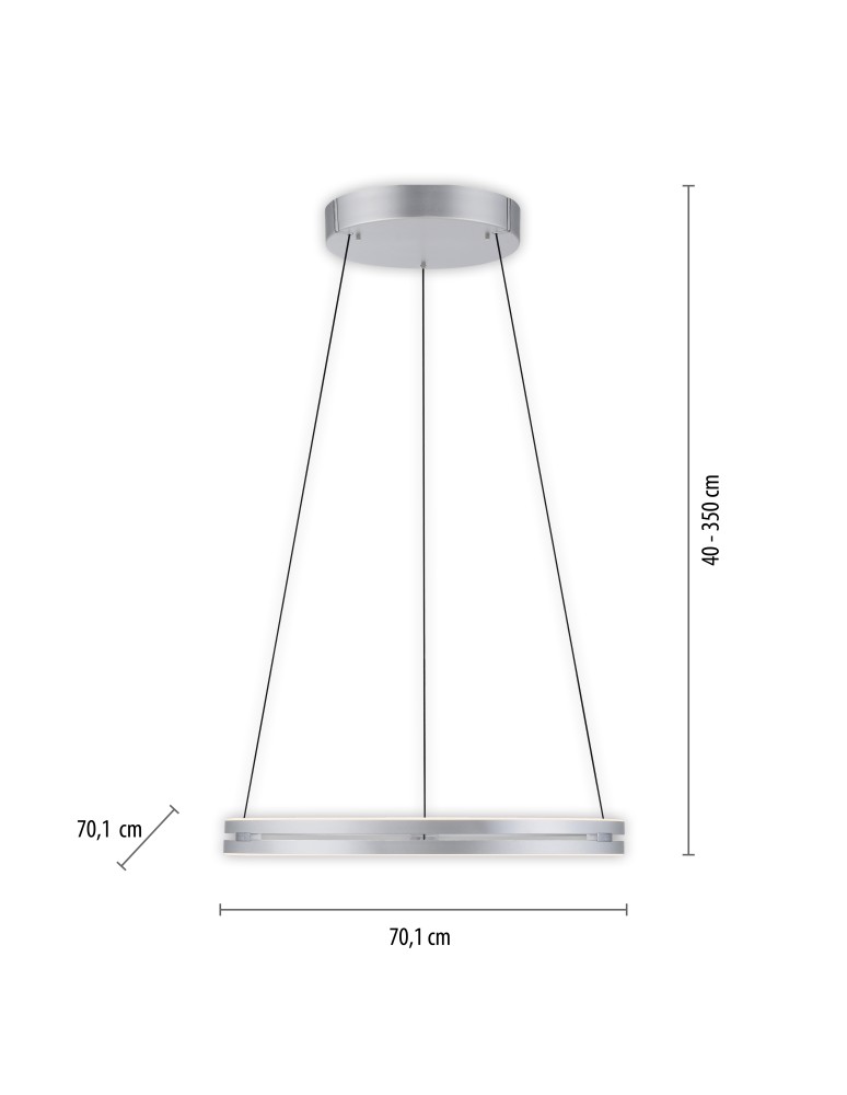 Paul Neuhaus Pure E-Loop Lampa Wisząca Aluminium 2551-95