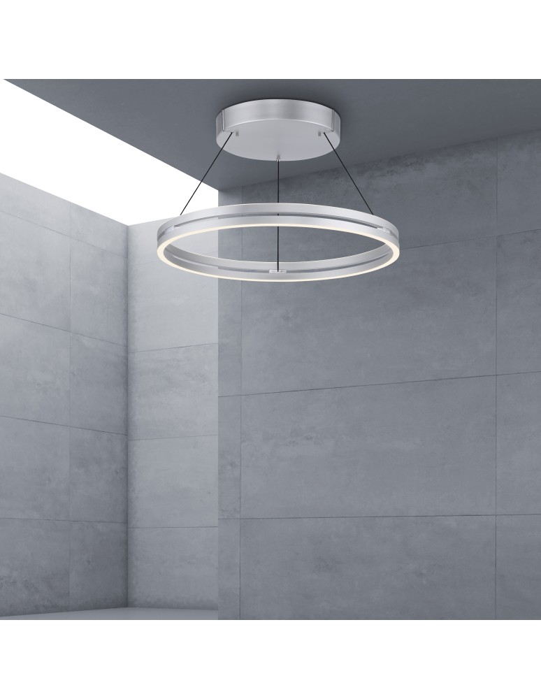 Paul Neuhaus Pure E-Loop Lampa Wisząca Aluminium 2551-95