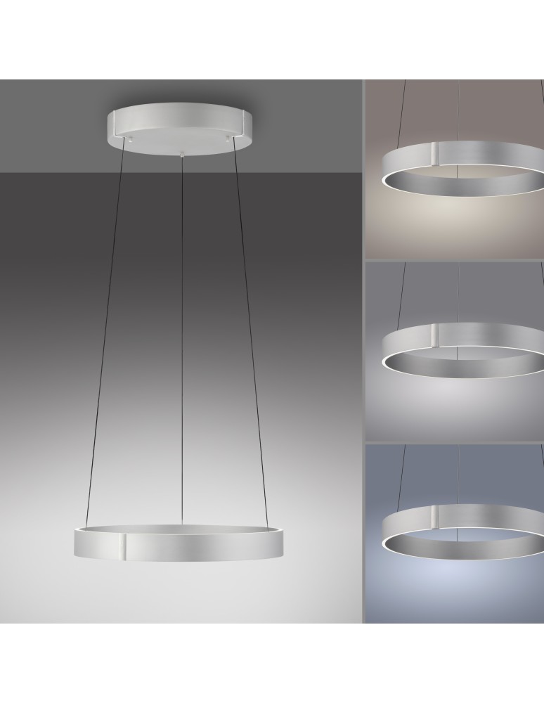 Paul Neuhaus Pure E-Clipse Lampa Wisząca Aluminium 2560-95