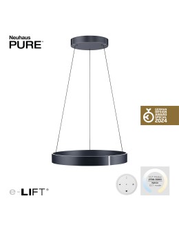 Paul Neuhaus Pure E-Clipse Lampa Wisząca Szary 2561-15