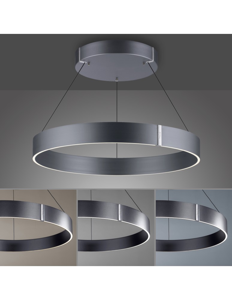 Paul Neuhaus Pure E-Clipse Lampa Wisząca Szary 2561-15