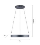 Paul Neuhaus Pure E-Clipse Lampa Wisząca Szary 2561-15