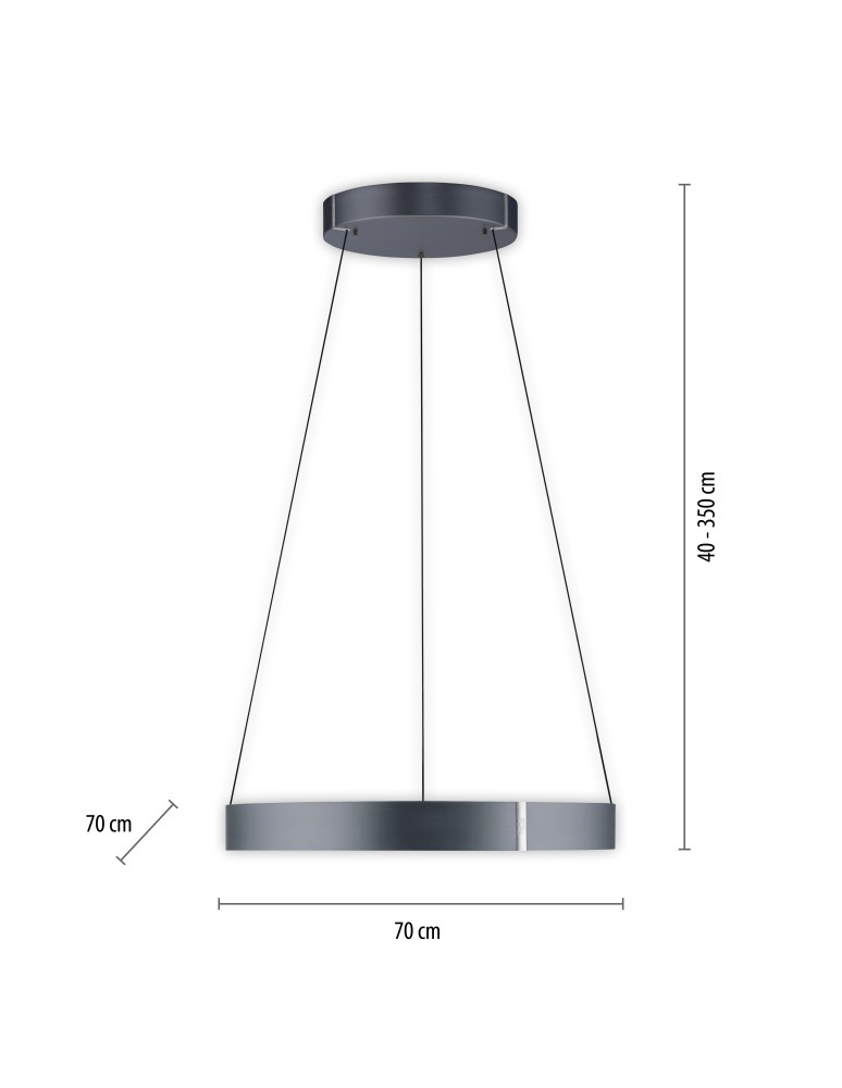Paul Neuhaus Pure E-Clipse Lampa Wisząca Szary 2561-15