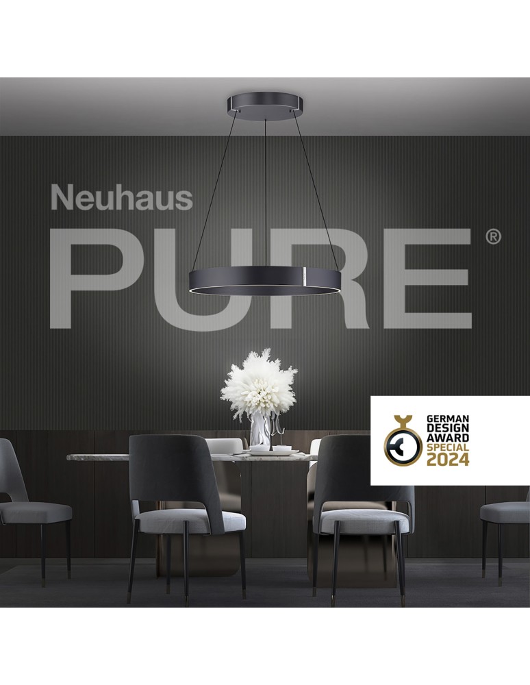 Paul Neuhaus Pure E-Clipse Lampa Wisząca Szary 2561-15