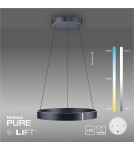 Paul Neuhaus Pure E-Clipse Lampa Wisząca Szary 2561-15