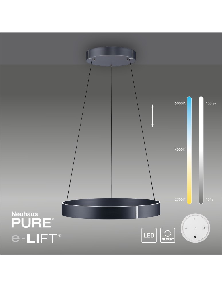 Paul Neuhaus Pure E-Clipse Lampa Wisząca Szary 2561-15