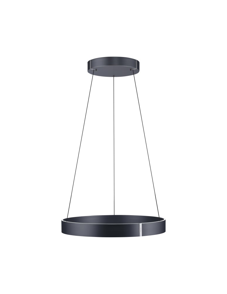 Paul Neuhaus Pure E-Clipse Lampa Wisząca Szary 2561-15