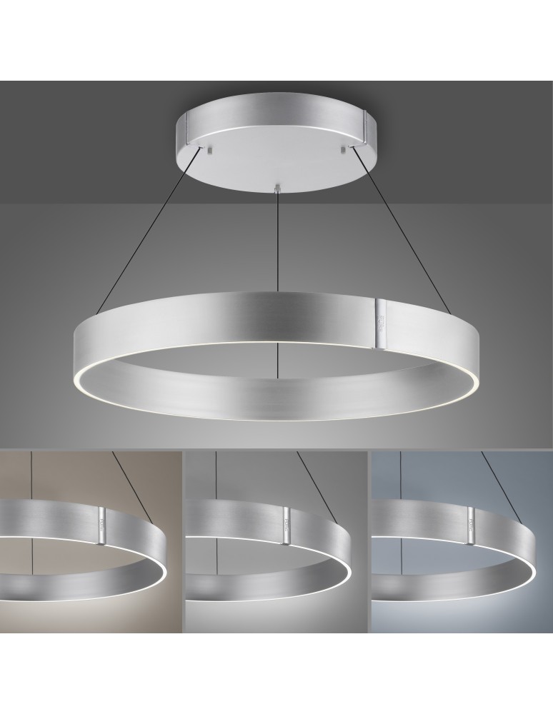 Paul Neuhaus Pure E-Clipse Lampa Wisząca Aluminium 2561-95