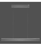 Paul Neuhaus Pure E-Motion Lampa Wisząca Szary 2570-15