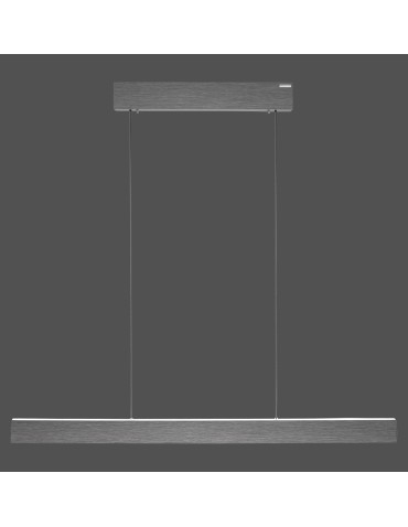 Paul Neuhaus Pure E-Motion Lampa Wisząca Szary 2570-15