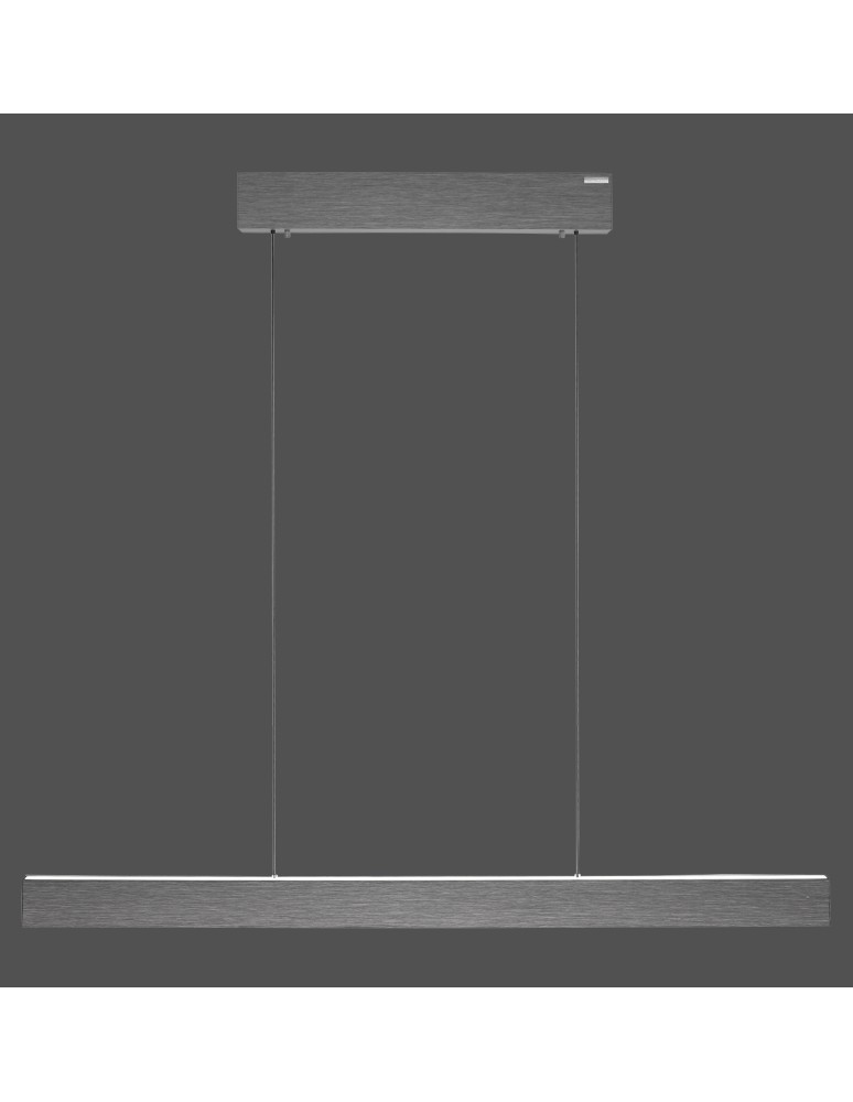 Paul Neuhaus Pure E-Motion Lampa Wisząca Szary 2570-15