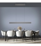 Paul Neuhaus Pure E-Motion Lampa Wisząca Szary 2570-15