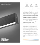 Paul Neuhaus Pure E-Motion Lampa Wisząca Szary 2570-15