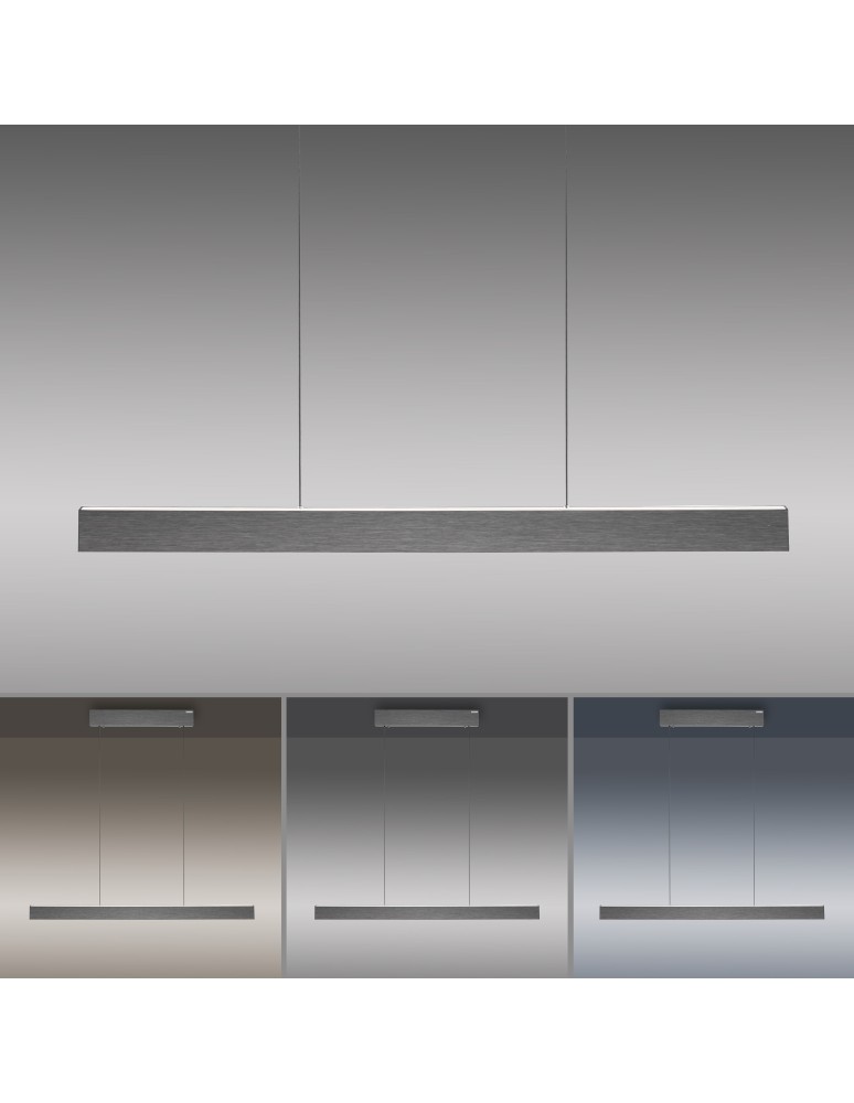 Paul Neuhaus Pure E-Motion Lampa Wisząca Szary 2570-15