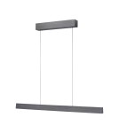 Paul Neuhaus Pure E-Motion Lampa Wisząca Szary 2570-15