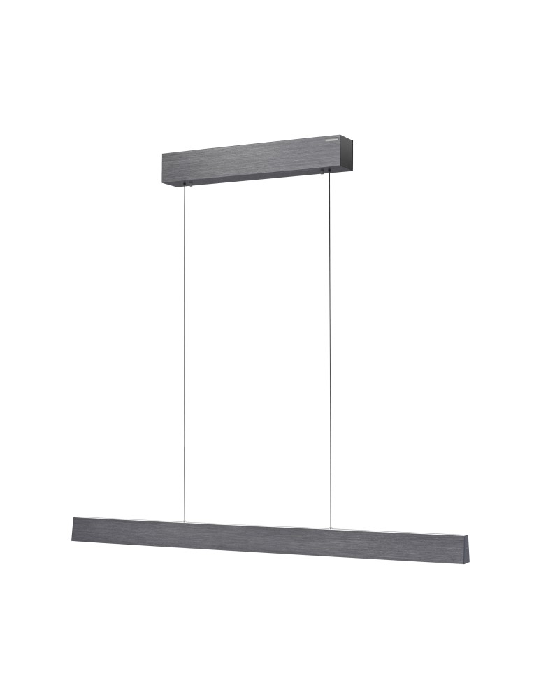 Paul Neuhaus Pure E-Motion Lampa Wisząca Szary 2570-15