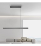 Paul Neuhaus Pure E-Motion Lampa Wisząca Szary 2570-15