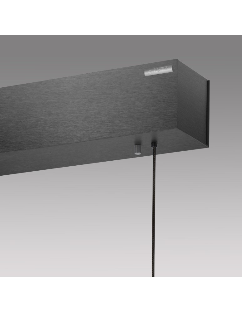 Paul Neuhaus Pure E-Motion Lampa Wisząca Szary 2570-15