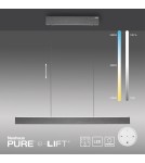 Paul Neuhaus Pure E-Motion Lampa Wisząca Szary 2570-15