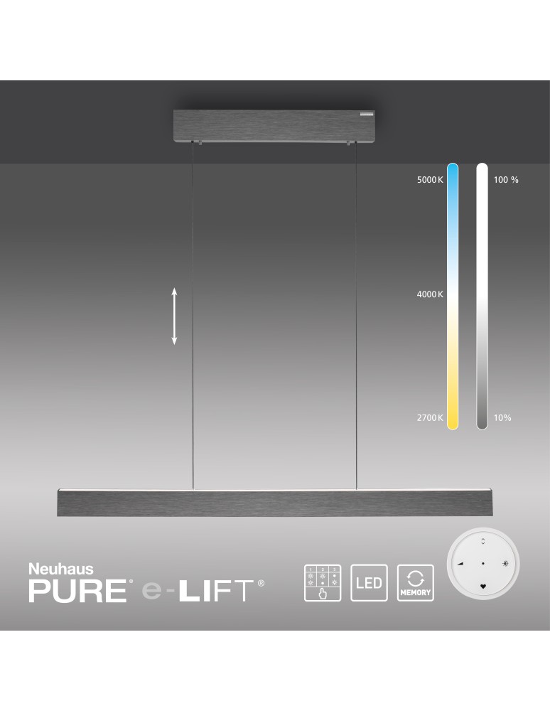 Paul Neuhaus Pure E-Motion Lampa Wisząca Szary 2570-15