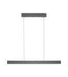 Paul Neuhaus Pure E-Motion Lampa Wisząca Szary 2570-15