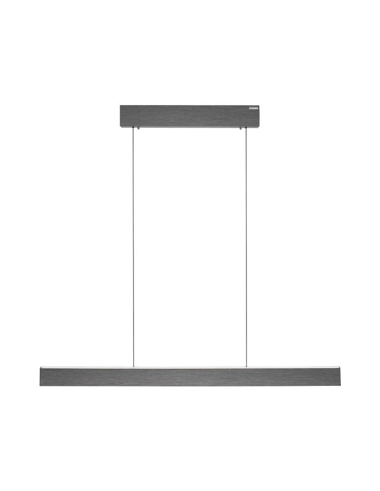 Paul Neuhaus Pure E-Motion Lampa Wisząca Szary 2570-15