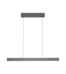 Paul Neuhaus Pure E-Motion Lampa Wisząca Szary 2570-15