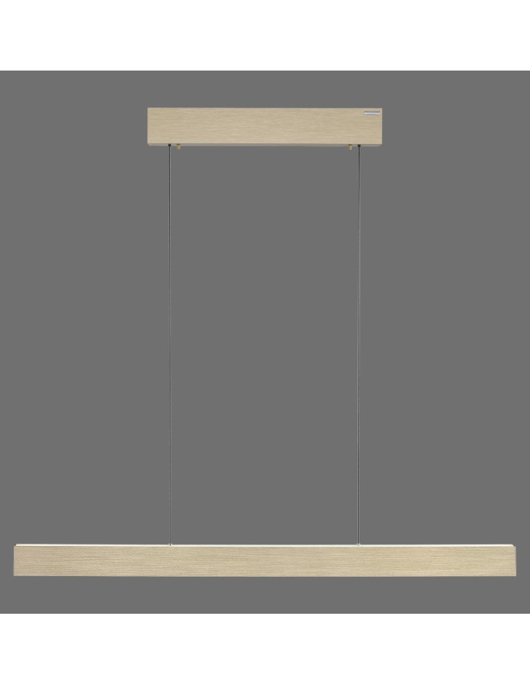 Paul Neuhaus Pure E-Motion Lampa Wisząca Matowy Mosiądz 2570-60