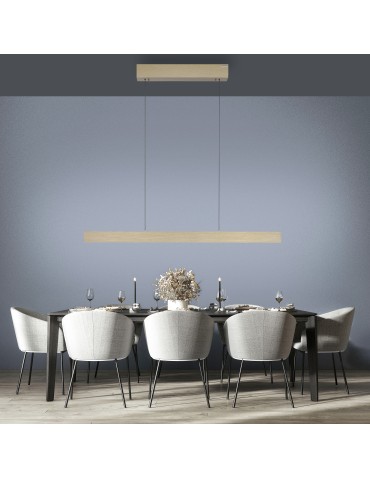 Paul Neuhaus Pure E-Motion Lampa Wisząca Matowy Mosiądz 2570-60