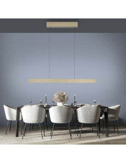 Paul Neuhaus Pure E-Motion Lampa Wisząca Matowy Mosiądz 2570-60