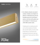 Paul Neuhaus Pure E-Motion Lampa Wisząca Matowy Mosiądz 2570-60