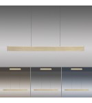 Paul Neuhaus Pure E-Motion Lampa Wisząca Matowy Mosiądz 2570-60