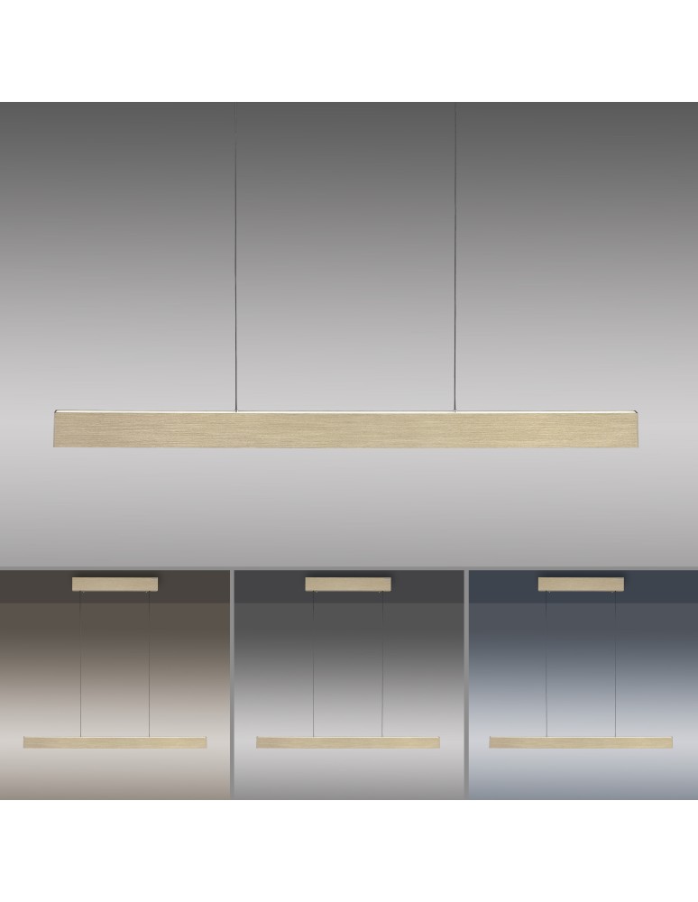 Paul Neuhaus Pure E-Motion Lampa Wisząca Matowy Mosiądz 2570-60