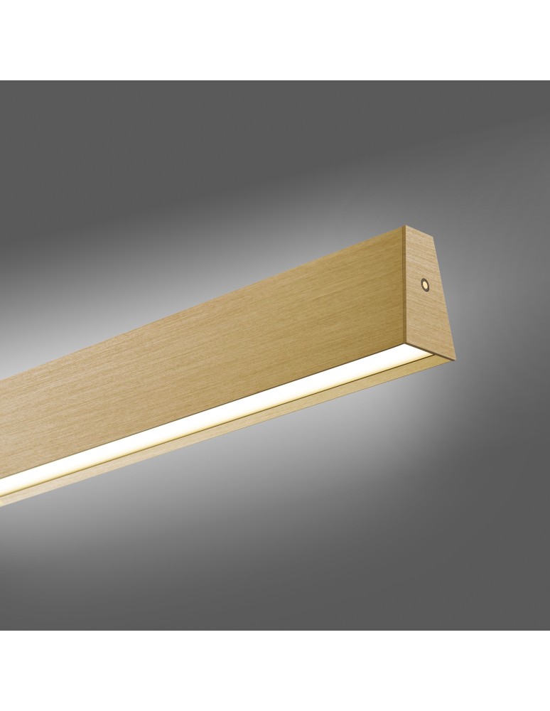 Paul Neuhaus Pure E-Motion Lampa Wisząca Matowy Mosiądz 2570-60