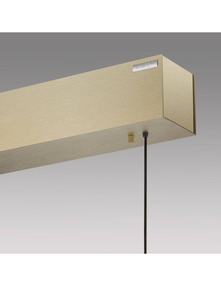 Paul Neuhaus Pure E-Motion Lampa Wisząca Matowy Mosiądz 2570-60