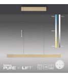 Paul Neuhaus Pure E-Motion Lampa Wisząca Matowy Mosiądz 2570-60
