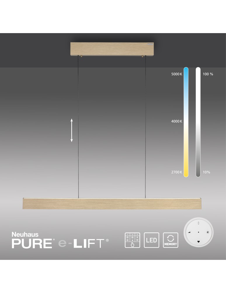 Paul Neuhaus Pure E-Motion Lampa Wisząca Matowy Mosiądz 2570-60