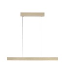 Paul Neuhaus Pure E-Motion Lampa Wisząca Matowy Mosiądz 2570-60