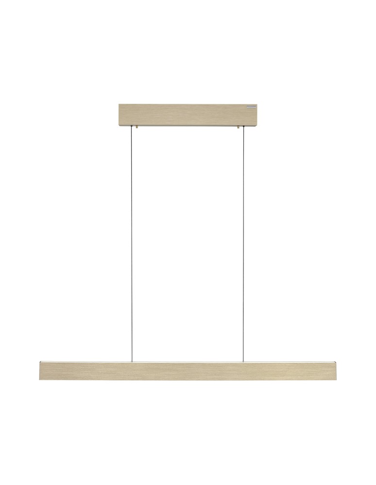 Paul Neuhaus Pure E-Motion Lampa Wisząca Matowy Mosiądz 2570-60